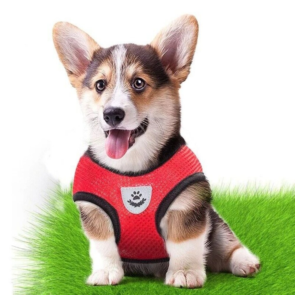 Dog Harness & Leash Set. Red & Black Color only. New in Package